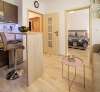 1-bedroom apartment with a kitchen, living room, wooden floor decor, comfortable seating.