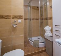 Bathroom in a studio apartment with a massage shower, decorative tiles, and storage space.