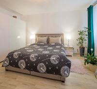 A bright bedroom with a large bed, wardrobes, and plants in a studio apartment, with a wooden decor floor.