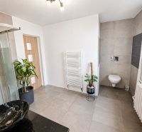A bathroom in a family house with a bowl sink and a glass shower enclosure.
