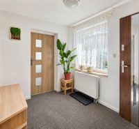 Entrance hallway of a family house with carpet flooring and a window, decorated with a houseplant.