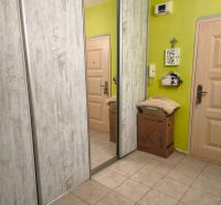 A hallway with a mirrored wardrobe and tiles in a 2-room apartment.