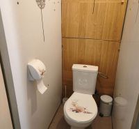 Bathroom in a 2-room apartment with decorative elements and a wooden decor floor.