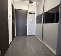 A hallway in a 4-room apartment with a built-in wardrobe and a floor with a wooden decor.