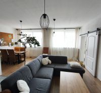 Living room in a 4-room apartment with a wooden decor floor and a comfortable sofa.
