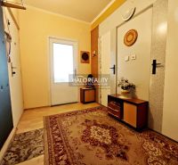 A hallway in a 2-room apartment with a wooden decor floor and a carpet.