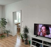 A room with a wooden floor decor, a television, plants, and a dining table in the background.