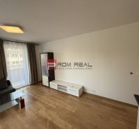 Living room in a two-room apartment with a wooden decor floor and a large window.