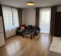Living room of a two-room apartment with a sofa, glass table, and wood-decorated floor.