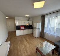 Living room with a kitchenette in a 2-room apartment, wooden decor flooring, sofa.