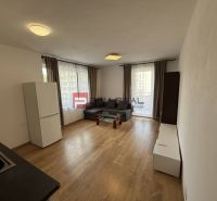 Living room with a sofa, wooden decor flooring, and a kitchenette in a two-room apartment.