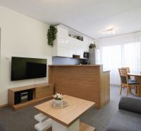 Living room in a 3-room apartment with a kitchenette and a dining table.