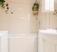 A bathroom in a 3-room apartment with a bathtub and a washing machine, complemented by decorative plants.
