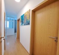 A hallway in a 3-room apartment with a wood-patterned floor and a painting on the wall.