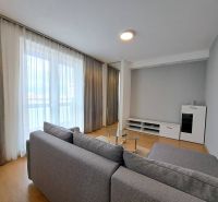 Living room in a three-room apartment with a wooden decor floor and a gray sofa.