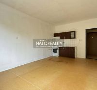 Studio apartment with a kitchen, light floor with a wood design, simple furnishings.