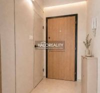 A studio apartment with a light interior, entrance door, and decorative element on the wall.