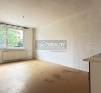 Studio apartment with a large window, basic kitchenette, and wood-patterned flooring.