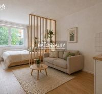 A studio apartment with a wooden floor, a kitchen, a living room, and a bed separated by a decorative partition.