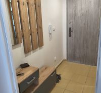The entrance hall of a studio apartment with coat hooks, a shoe cabinet, and gray doors.
