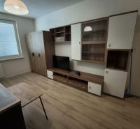 A studio apartment with a wooden floor, cabinets, and a television.