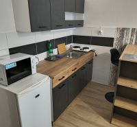 Kitchen area of a studio apartment with appliances and flooring with a wood decor.