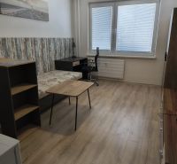 Studio apartment with wood-decor flooring, a desk, and a sofa.