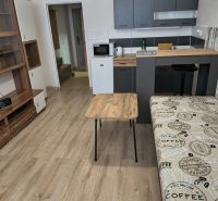A studio apartment with a wood-patterned floor, a kitchenette, and a sofa in a cozy interior.