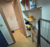 Storage space with shelves and cleaning supplies in a studio apartment.