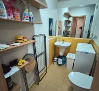 Studio apartment bathroom with shelves, an appliance, and a toilet, floor with wood decor.