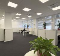 Offices with white furniture, black carpet, and plants at workstations.