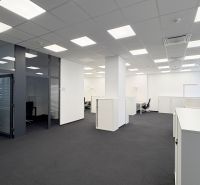 Offices with glass partitions, carpeted floors, and greenery make the space cozy.