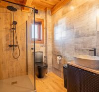 A family house bathroom with a wooden decor floor, a shower corner, and a sink.