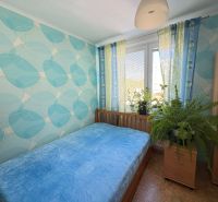 A bedroom in a 4-room apartment with blue walls, plants, and a chair.