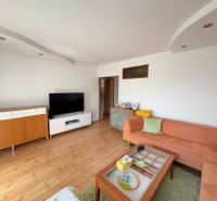 Living room in a 4-room apartment with a wooden decor floor and an orange sofa.