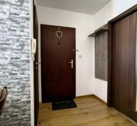 Entrance hallway in a 3-room apartment with a wooden decor floor and stone wall cladding.