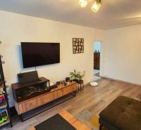 Living room with wood-patterned flooring, a television, shelves, and plants in a 3-room apartment.