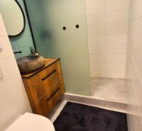 Bathroom with a shower, a stone basin sink, a black carpet, 3-room apartment.