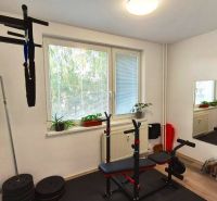 A home gym in a 3-room apartment with exercise equipment, a mirror, and plants on the windowsill.