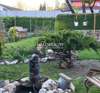 The garden of a family house in Poltár with a swing, benches, and decorative vegetation.
