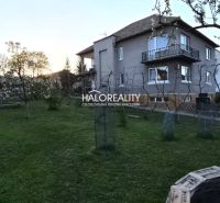 A garden at a family house in Poltár with trees and a lawn.