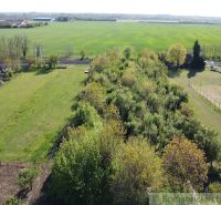 Plots - housing in Palárikovo include greenery and open spaces, ideal for use.