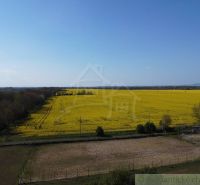 A landscape with a blooming field in Palárikovo suitable for plots - housing.
