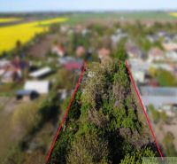 Greenery on a residential plot in Palárikovo surrounded by rural landscape.