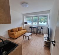 Living room of a two-room apartment with a sofa, dining table, and wood-patterned flooring.