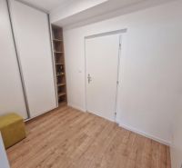 A hallway in a two-room apartment with a wooden decor floor and a built-in wardrobe.