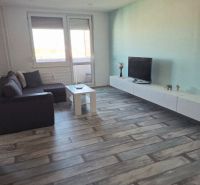 Living room in a 3-room apartment with a sofa and a wooden decor floor.