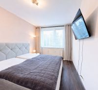 Bedroom with a gray bed, television, and wood-patterned flooring, 4-room apartment.