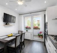 A kitchen with a dining table, TV, flowers on the balcony, and a floor with a wooden decor.