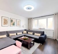 Living room in a 4-room apartment with a large gray sofa and a floor with a wood decor.